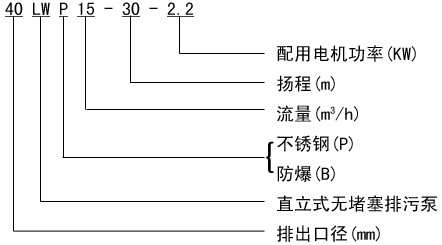 LW型无堵塞立式排污泵 